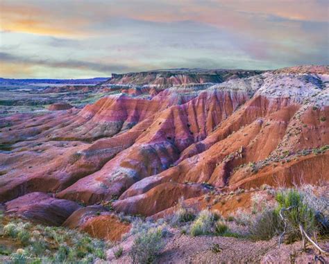 Painted Desert Petrified Forest National Park Arizona Photography By