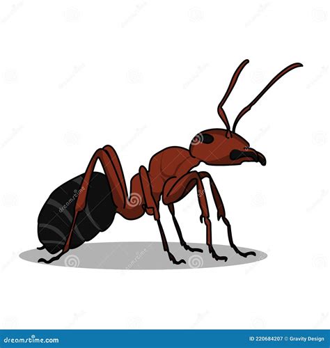 A Very Detailed Big Red Ant Illustration Design Isolated Animal