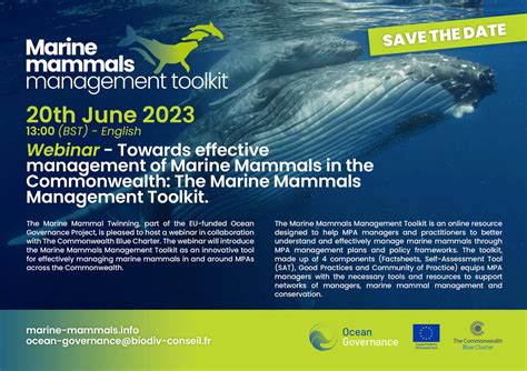 Events Ocean Governance Marine Mammals