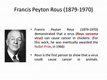 PPT - History of Virology PowerPoint Presentation - ID:5781369