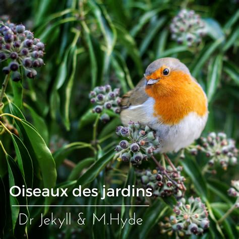 Oiseaux Des Jardins Dr Jekyll Et Mhyde Une Histoire De Plumes