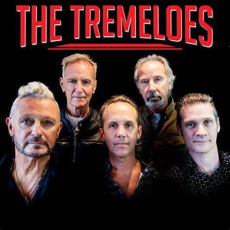 The Tremeloes Chimes Entertainments