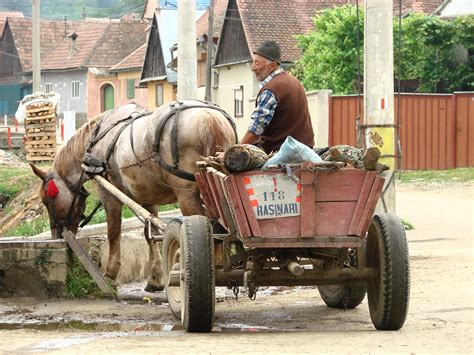 Filefarmer And Horse Rasinari Romania Wikimedia Commons