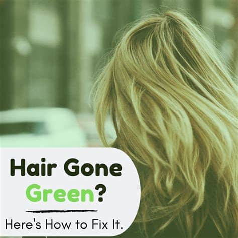 Blonde hair will usually need to be 'filled' with a warm color so that your hair doesn't look muddy or gray or greenish, she adds. DIY Hair: How to Fix Blonde Hair Turned Green | Bellatory