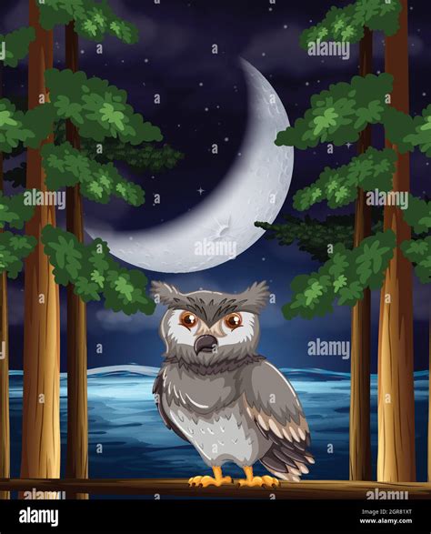 Owl At Night Hi Res Stock Photography And Images Alamy