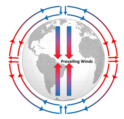 83 Atmospheric And Ocean Circulation Biology Libretexts