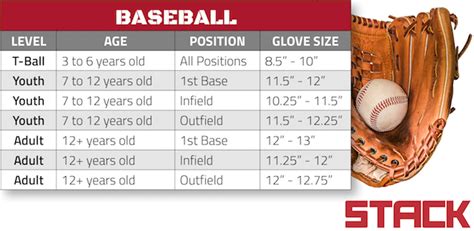 Kids baseball glove size chart most popular glove sizes for different ages: An Athlete's Guide to Baseball Glove Sizes | STACK