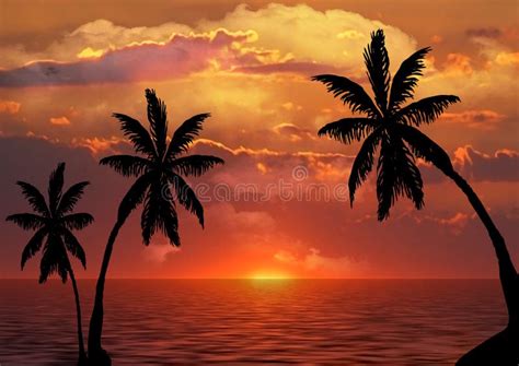 Palm Trees Silhouette At Sunset Stock Image Image Of Horizon Beach