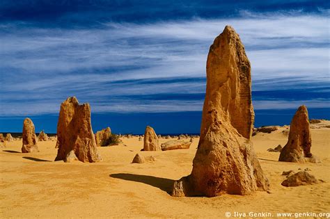 The Pinnacles Desert Nambung National Park Western Australia