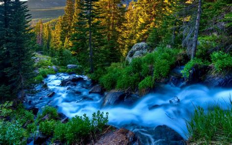 Wallpaper Landscape Forest Waterfall Nature