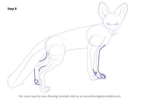 Learn How To Draw A Kit Fox Wild Animals Step By Step Drawing Tutorials