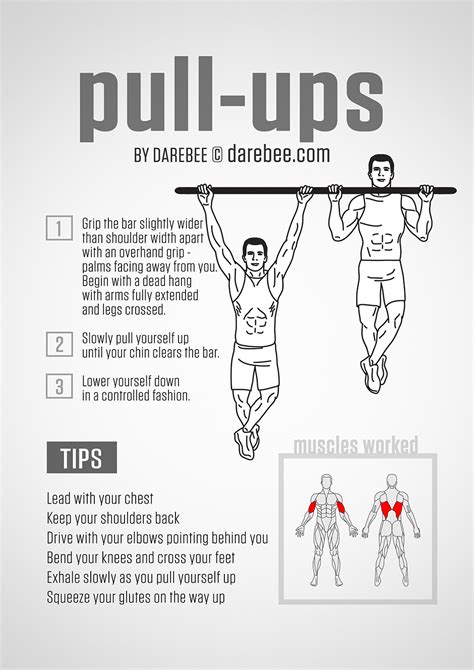 Pull Ups Guide