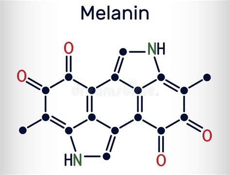 Melanin Molecule Chemical Formula Stock Illustrations 69 Melanin