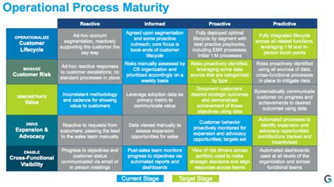 The Customer Success Maturity Model