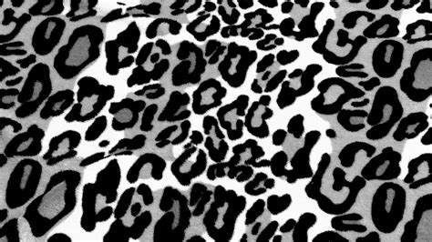 Gray Leopard Skin Background Free Stock Photo Public