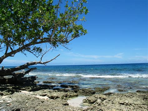 Gambar Pantai Laut Pohon Outdoor Batu Lautan Horison Langit