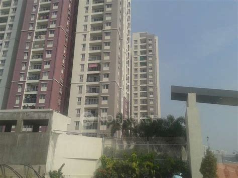 Prajay City Miyapur Hyderabad Apartmentsflats Nobroker