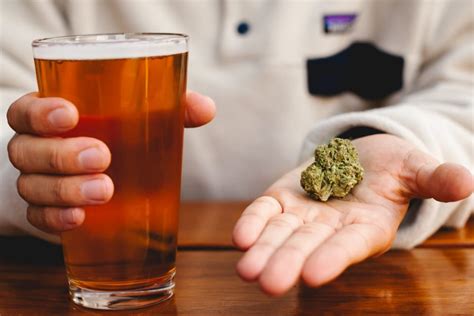 Weed And Alcohol — Should You Mix Them Together Xpressgrass