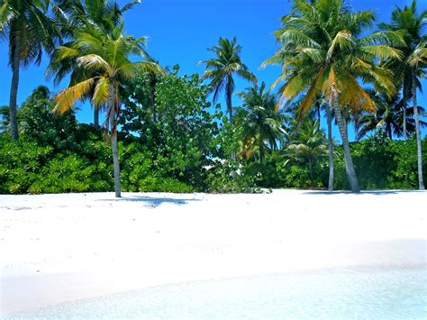 Maldives Maldive Islands Most Beautiful Places In The World