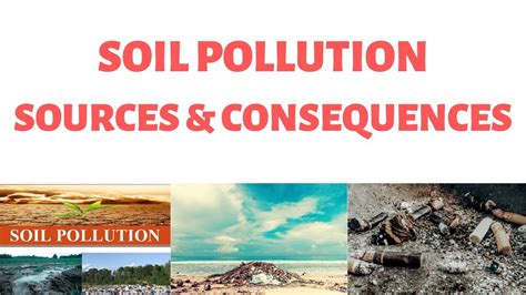 What Is Soil Pollution Sources Consequences And How To Stop It Youtube