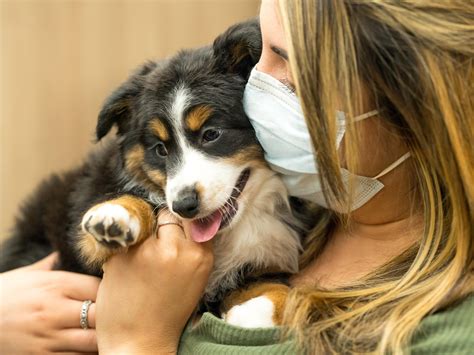 Petland Puppy Giveaway Winner Gets New Puppy - Petland Florida