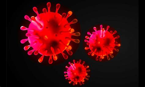 Although we do not know the exact source of the current outbreak. Covid-19 Virus - Information for parents, students and ...