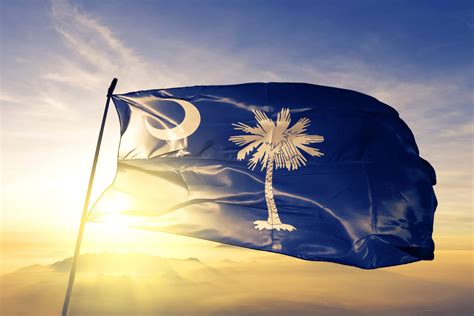 A Case For The South Carolina State Flag Garden And Gun