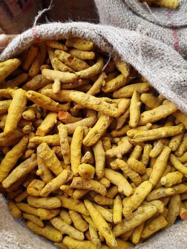 Yellow Turmeric Finger At Rs Kg Huzurnagar M Suryapet Id