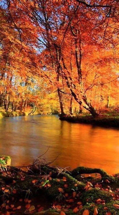 Nice Autumn Autumn Scenery Fall Pictures Scenery