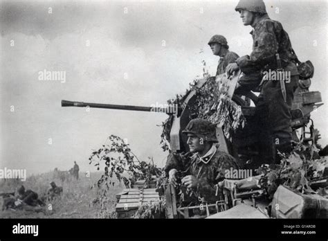 Waffen Ss Licht Flack Flak In Bodenabwehr Eastern Front 1943
