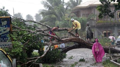 350 dead in philippines typhoon