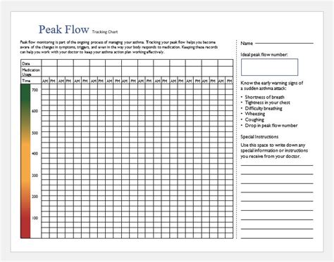 Asthma Peak Flow Charts Pdf Ms Word Printable Medical Forms