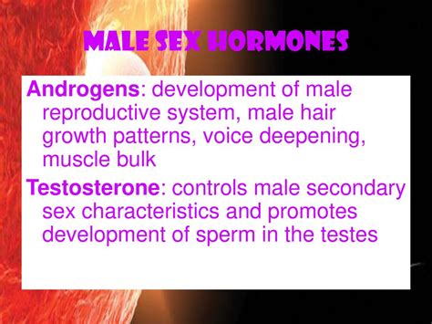The Reproductive System Ppt Download