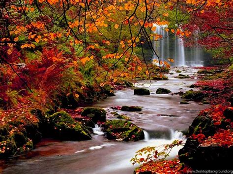 High Resolution Fall Pictures In Full Hd 1080p Desktop