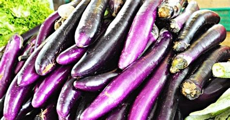 Apa perbezaan kumpulan darah a, b, ab dan o? Rahsia Diet Makanan Mengikut Jenis Darah | Maha Mahu Makan