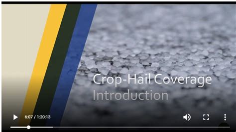 Crop Hail Crop Insurance Keeps America Growing