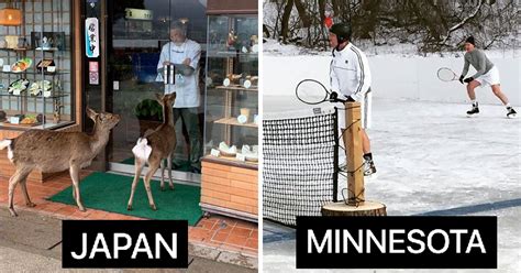 30 'Meanwhile In…' Pics That Totally Nail The Countries They're From