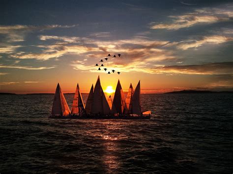 Free Photo Sailboats Sailing On Sea During Sunset Beach Sail Water