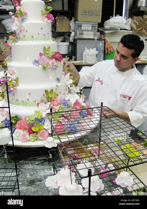 cake boss buddy valastro mother s day mama and mom to be season 3 aired august 9 2010