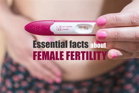 Essential Facts About Female Fertility Regency Healthcare