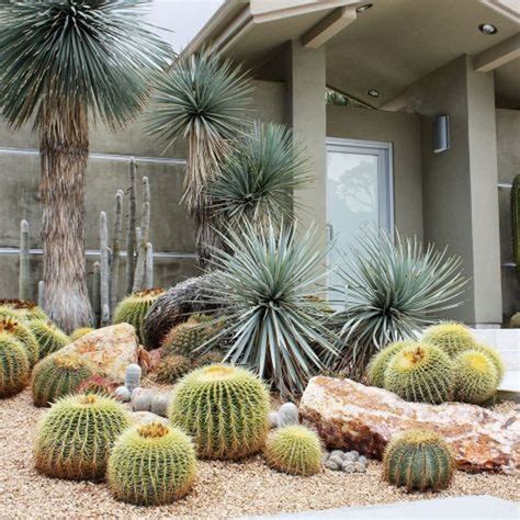 36 Beautiful Cactus Landscaping Ideas For Your Front Yards Decor