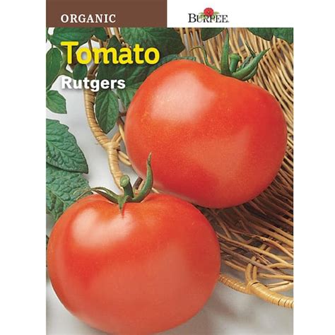 Burpee Tomato Rutgers Organic Seed 68878 The Home Depot