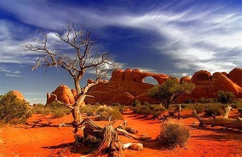 Top 10 Largest Deserts In The World Important Deserts