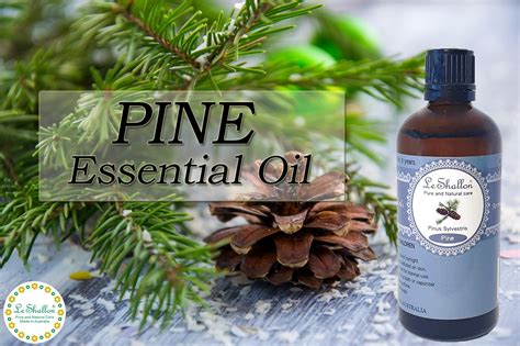 Pine 100ml Essential Oil Le Shallon Pure And Natural Care