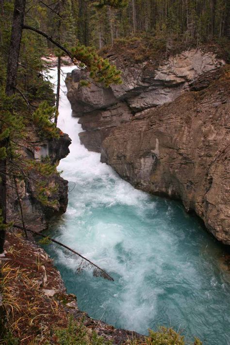 Lower Sunwapta Falls Jasper National Park Alberta Canada