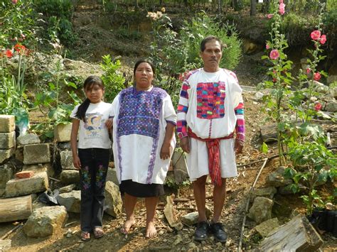 Estadio De Chiapas El Día A Día Con Las Comunidades Indígenas I