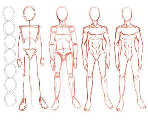 Male Body Drawing Anime Construction Of Male Figure By Seandee On