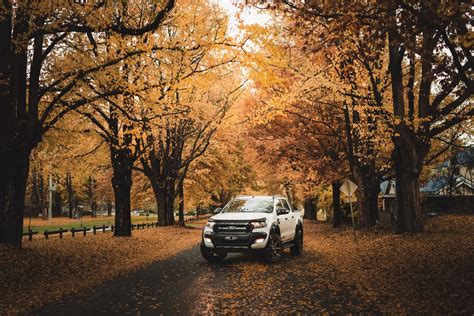 6 Smart Tips For Safe Fall Driving This Season Wendle Ford Blog