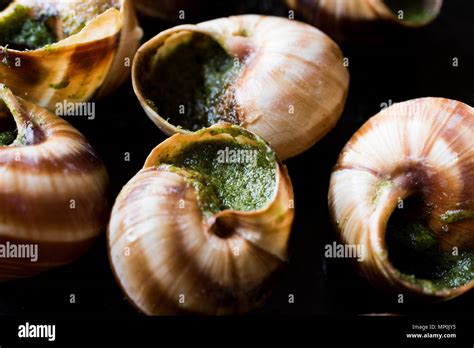 Escargots De Bourgogne Snail Food With Herbs Butter France Gourmet