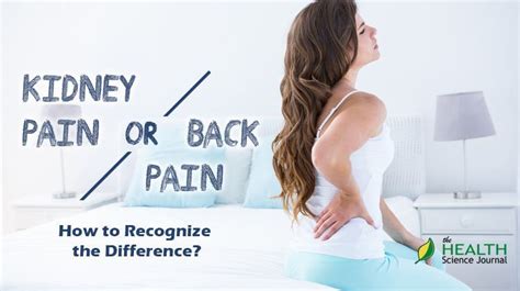 Back Pain Or Kidney Pain How To Recognize The Difference The Health